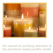 Scented Soy Candle